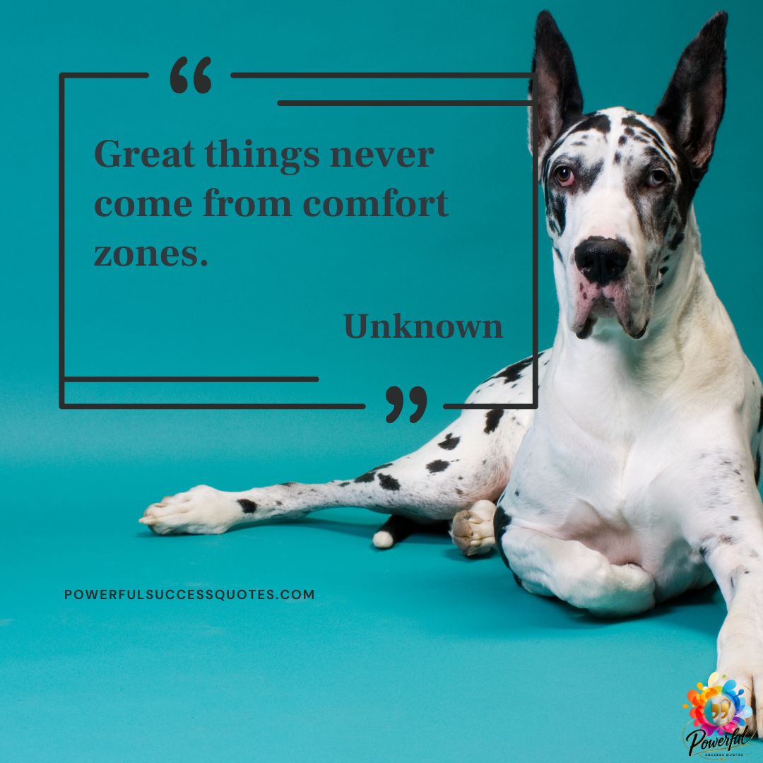 Great things never come from comfort zones.